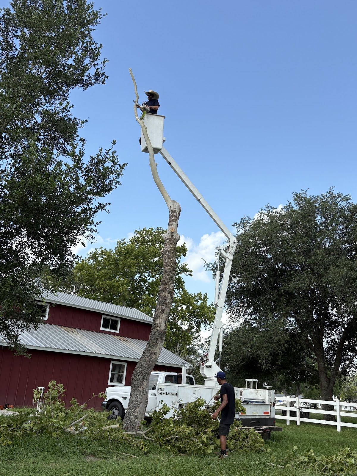 Tree removal bucket truck