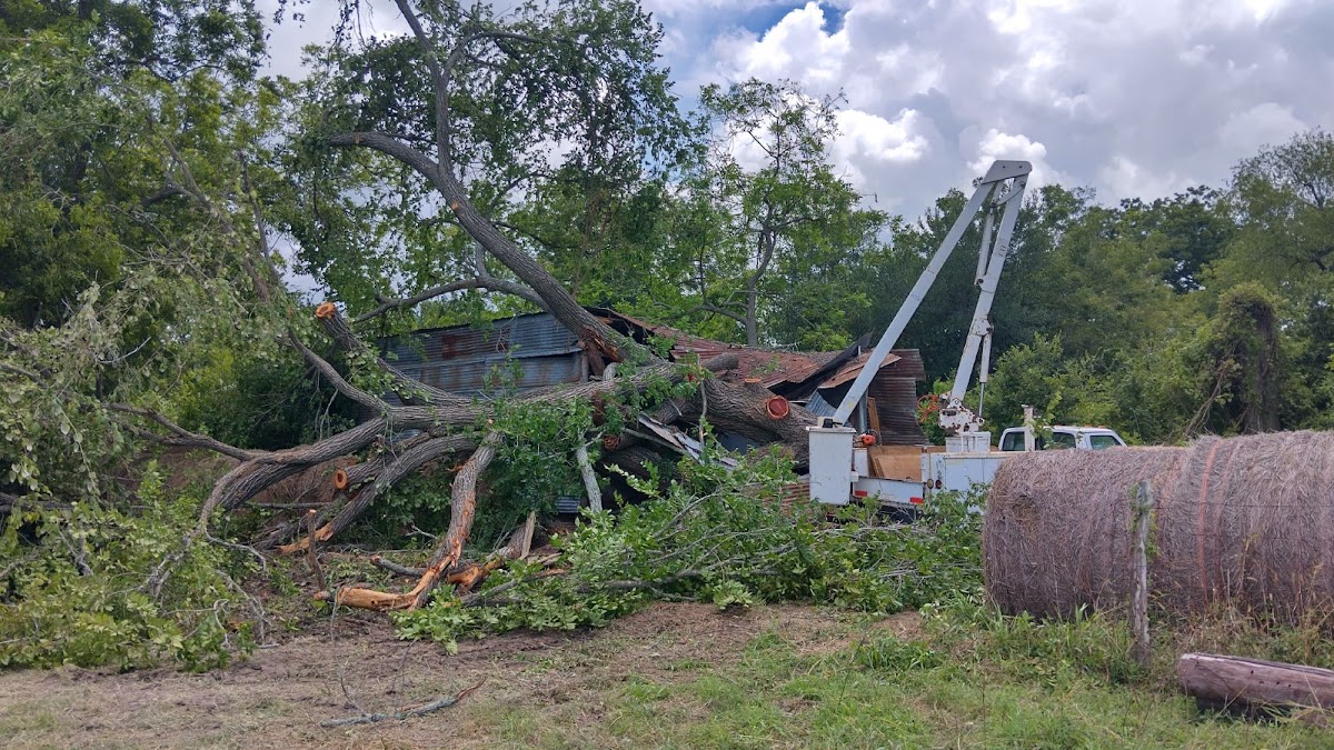 Stanford Tree Trimming crew at work in Victoria TX