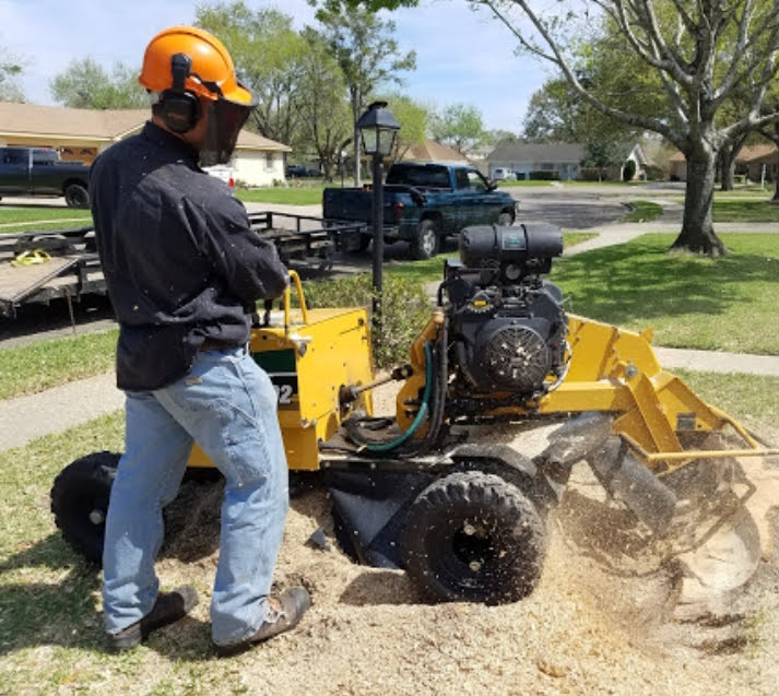 Stump grinding service